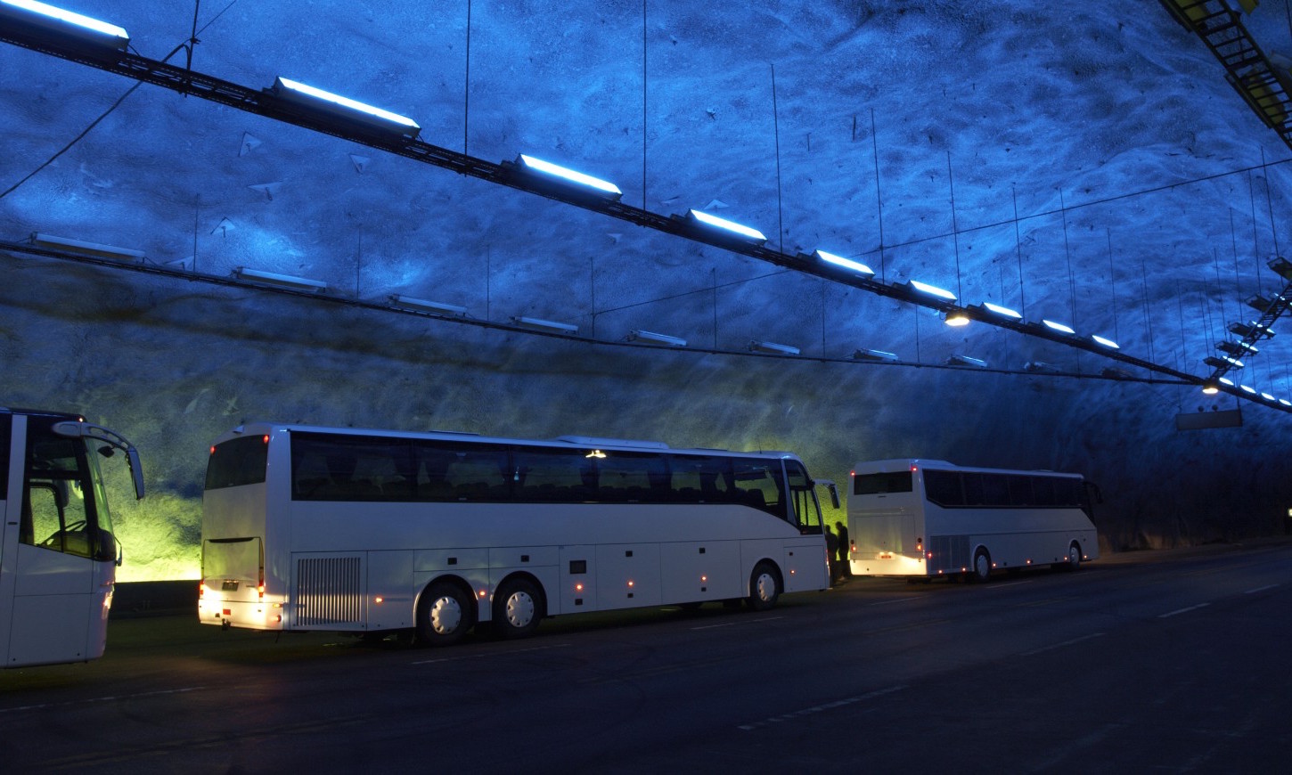 Bus huren voor festival of concert